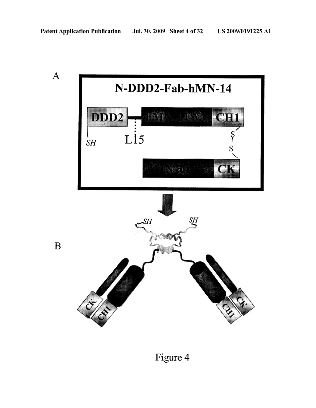 Stably Tethered Structures of Defined Compositions with Multiple Functions or Binding Specificities - diagram, schematic, and image 05