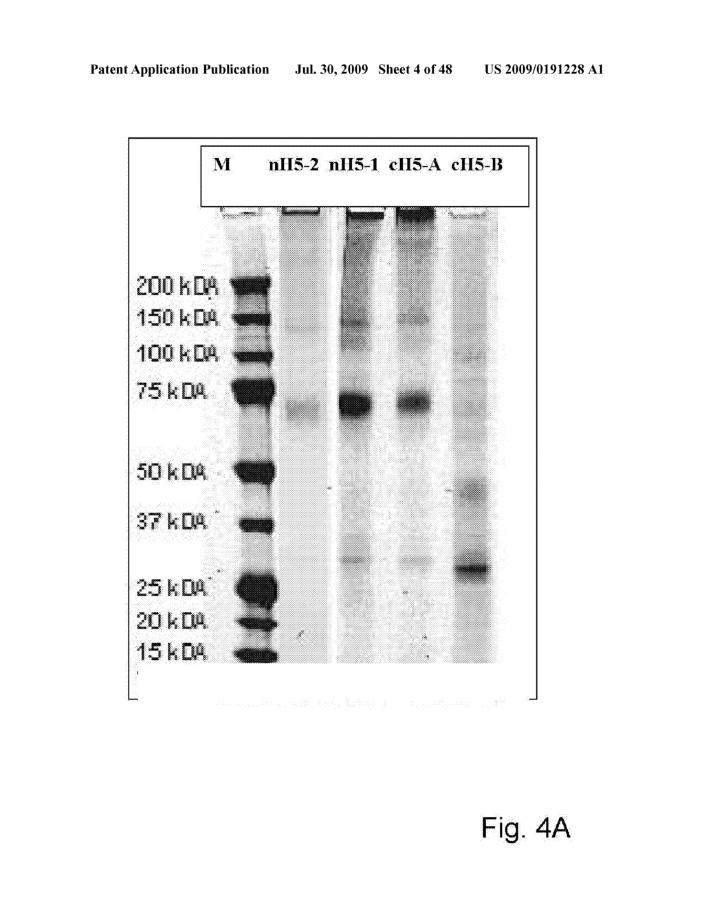 Immunogenic compositions capable of activating T-cells - diagram, schematic, and image 05