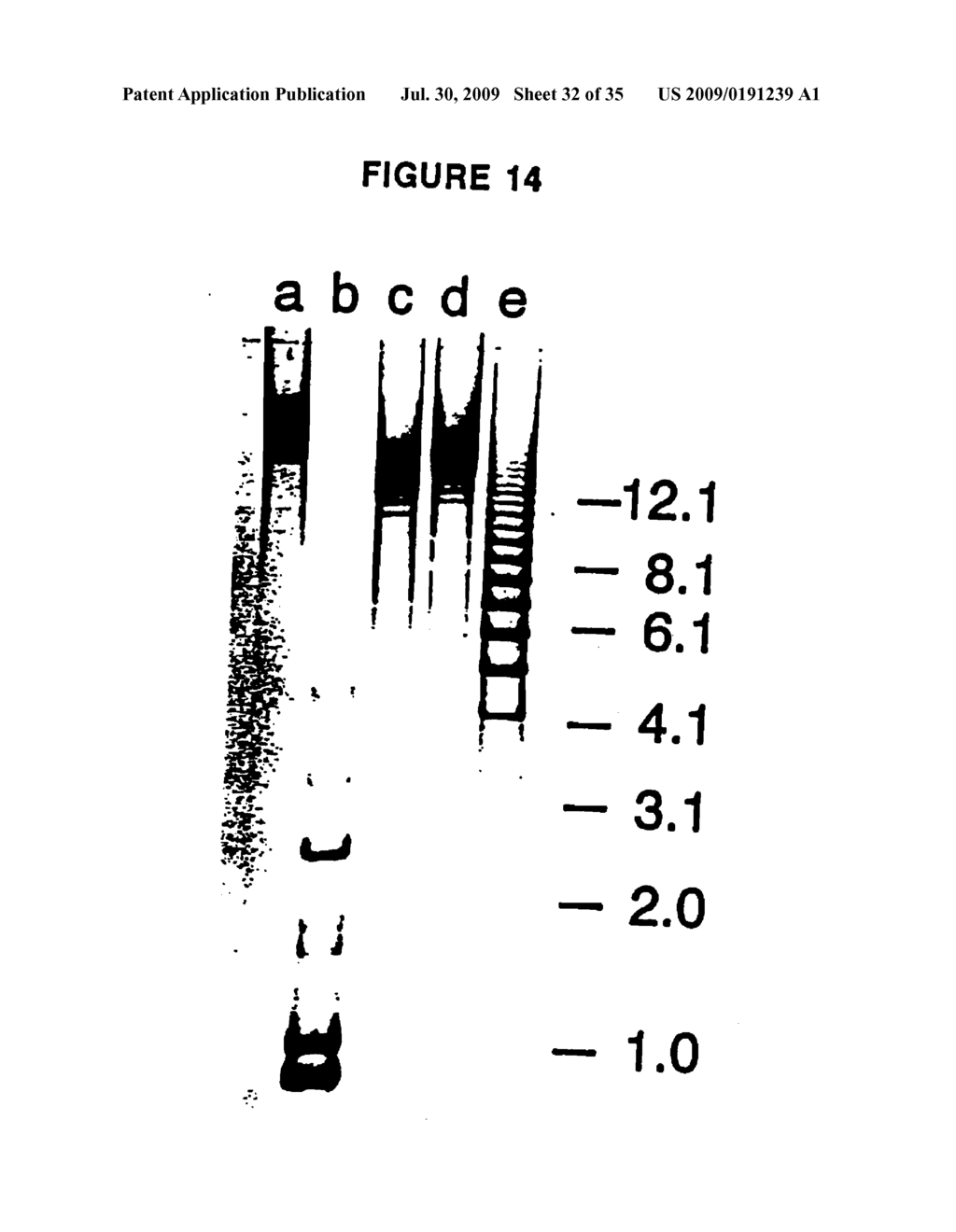 RECOMBINANT INFECTIOUS LARYNGOTRACHEITIS VIRUS AND USES THEREOF - diagram, schematic, and image 33