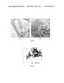 Anti-Viral Uses Of Carbon And Metal Nanomaterial Compositions diagram and image