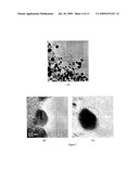 Anti-Viral Uses Of Carbon And Metal Nanomaterial Compositions diagram and image