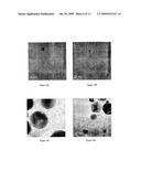 Anti-Viral Uses Of Carbon And Metal Nanomaterial Compositions diagram and image