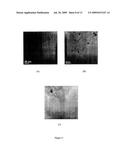 Anti-Viral Uses Of Carbon And Metal Nanomaterial Compositions diagram and image