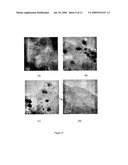 Anti-Viral Uses Of Carbon And Metal Nanomaterial Compositions diagram and image