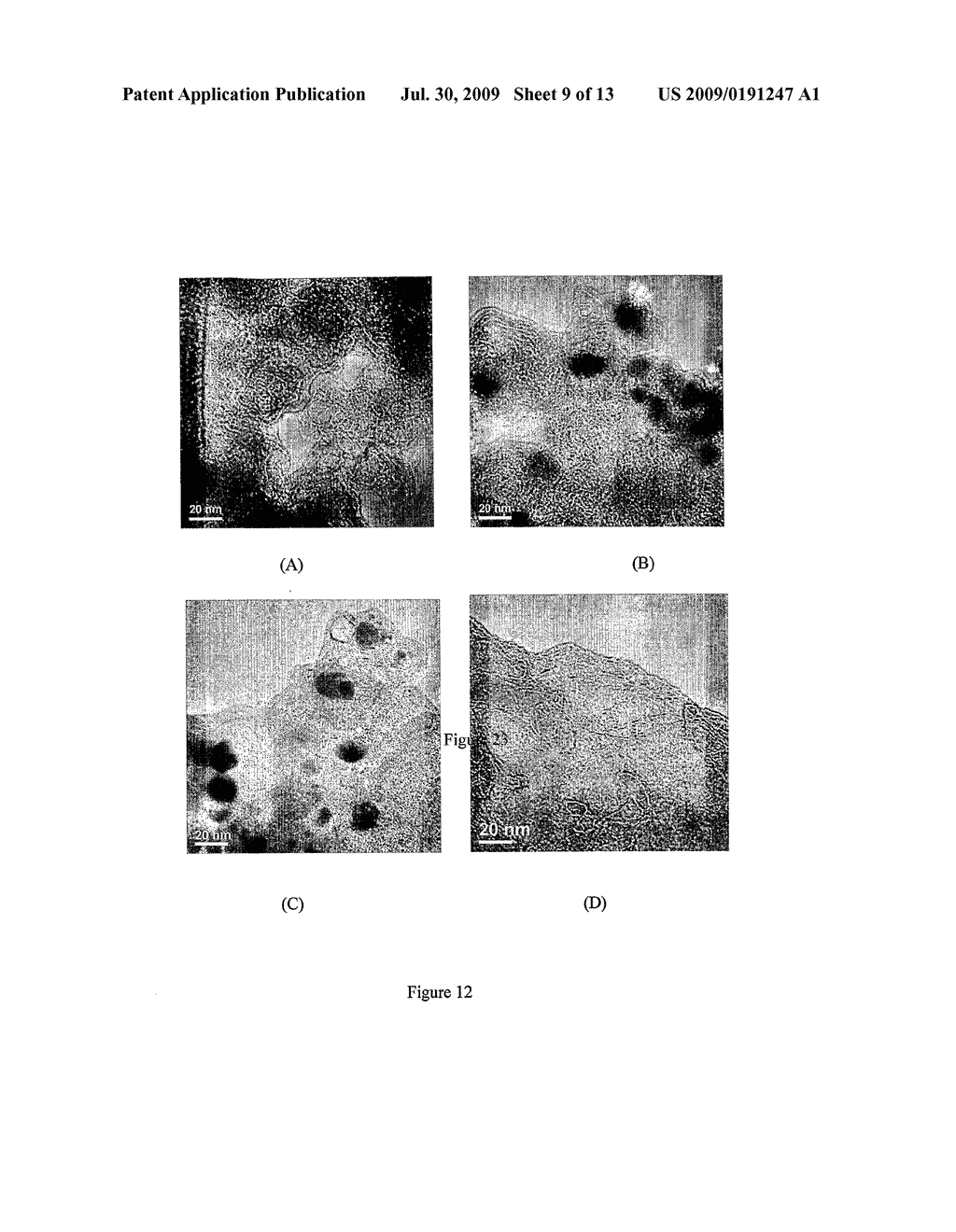 Anti-Viral Uses Of Carbon And Metal Nanomaterial Compositions - diagram, schematic, and image 10