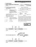 Antibody fragment-targeted immunoliposomes for systemic gene delivery diagram and image