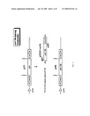 Antibody fragment-targeted immunoliposomes for systemic gene delivery diagram and image