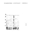 Antibody fragment-targeted immunoliposomes for systemic gene delivery diagram and image