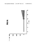 USE OF GELATIN AND A CROSS-LINKING AGENT FOR PRODUCING A CROSS-LINKING THERAPEUTIC COMPOSITION diagram and image