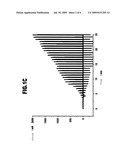 USE OF GELATIN AND A CROSS-LINKING AGENT FOR PRODUCING A CROSS-LINKING THERAPEUTIC COMPOSITION diagram and image