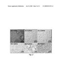 METAL CHLORIDE SEEDED GROWTH OF ELECTRONIC AND OPTICAL MATERIALS diagram and image