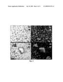 METAL CHLORIDE SEEDED GROWTH OF ELECTRONIC AND OPTICAL MATERIALS diagram and image