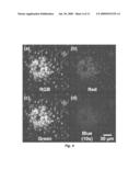 METAL CHLORIDE SEEDED GROWTH OF ELECTRONIC AND OPTICAL MATERIALS diagram and image