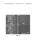 METAL CHLORIDE SEEDED GROWTH OF ELECTRONIC AND OPTICAL MATERIALS diagram and image