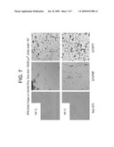 Modifiers for Oriented Polypropylene diagram and image