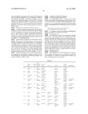 Battery Pack and Method For Producing The Same diagram and image