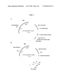 Selection of High-Producing Cell Lines diagram and image