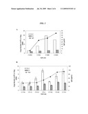 Selection of High-Producing Cell Lines diagram and image