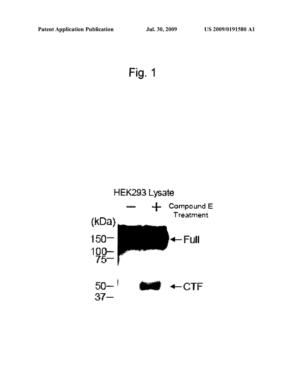 METHOD OF SCREENING USING c-MET, A NOVEL SUBSTRATE FOR GAMMA-SECRETASE - diagram, schematic, and image 02