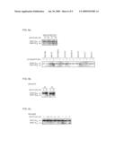 CLOSTRIDIAL TOXIN ACTIVITY ASSAYS diagram and image