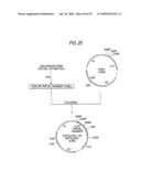 GLYCOENGINEERED, RECOMBINANT ANTIBODY diagram and image