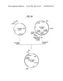 GLYCOENGINEERED, RECOMBINANT ANTIBODY diagram and image