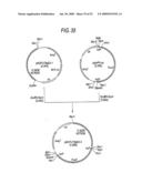 GLYCOENGINEERED, RECOMBINANT ANTIBODY diagram and image