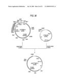 GLYCOENGINEERED, RECOMBINANT ANTIBODY diagram and image