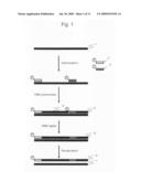 Method for amplification of long nucleic acid diagram and image