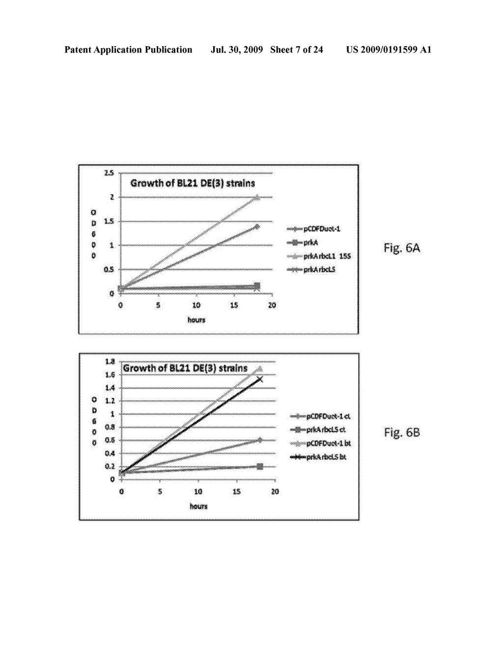 ENGINEERED LIGHT-HARVESTING ORGANISMS - diagram, schematic, and image 08