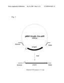 METHOD FOR PRODUCING AN L-AMINO ACID USING A BACTERIUM OF THE ENTEROBACTERIACEAE FAMILY WITH ATTENUATED EXPRESSION OF THE ydiN GENE OR THE ydiB GENE OR COMBINATION THEREOF diagram and image