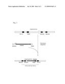 METHOD FOR PRODUCING AN L-AMINO ACID USING A BACTERIUM OF THE ENTEROBACTERIACEAE FAMILY WITH ATTENUATED EXPRESSION OF THE ydiN GENE OR THE ydiB GENE OR COMBINATION THEREOF diagram and image