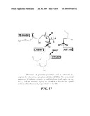 SYNTHETIC ENZYMES DERIVED FROM COMPUTATIONAL DESIGN diagram and image