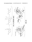 SYNTHETIC ENZYMES DERIVED FROM COMPUTATIONAL DESIGN diagram and image