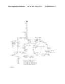 Microorganisms With Increased Efficiency for Methionine Synthesis diagram and image