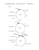 Microorganisms With Increased Efficiency for Methionine Synthesis diagram and image