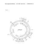 Microorganisms With Increased Efficiency for Methionine Synthesis diagram and image