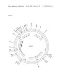 Microorganisms With Increased Efficiency for Methionine Synthesis diagram and image