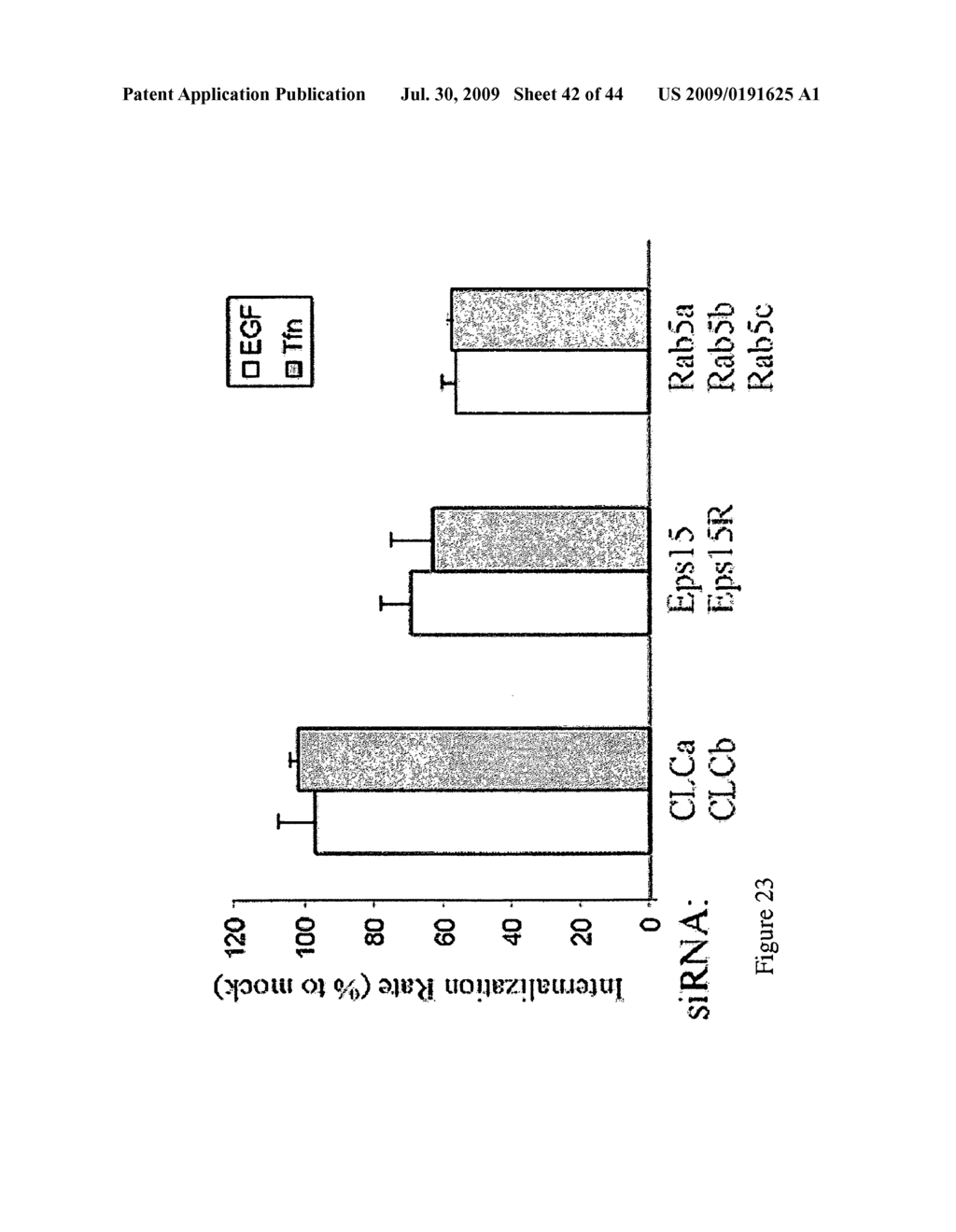 siRNA targeting connective tissue growth factor (CTGF) - diagram, schematic, and image 43