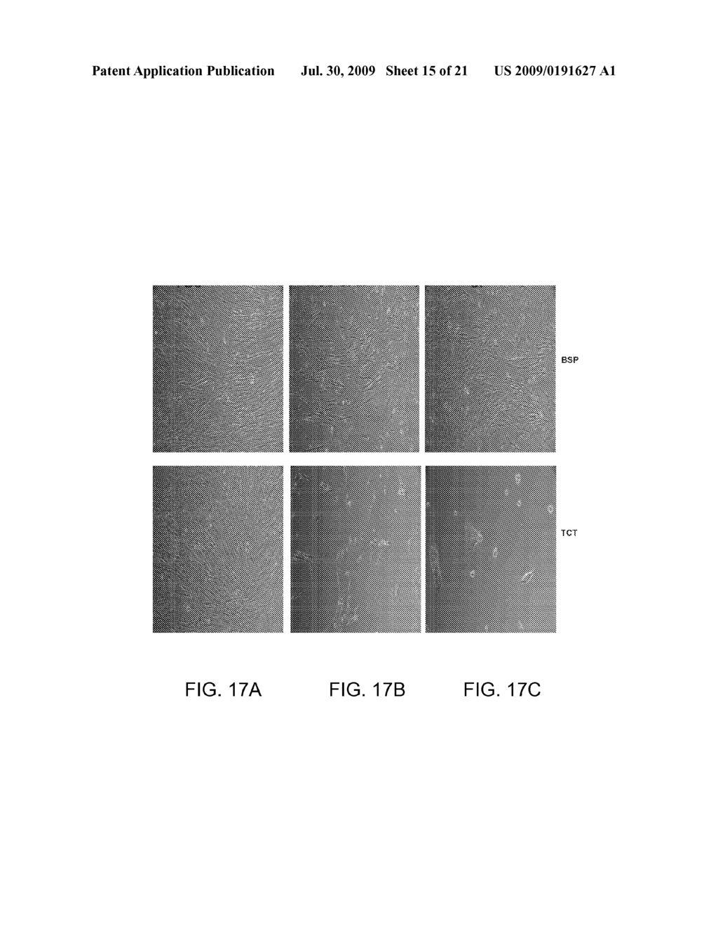 SYNTHETIC SURFACES FOR CULTURING CELLS IN CHEMICALLY DEFINED MEDIA - diagram, schematic, and image 16