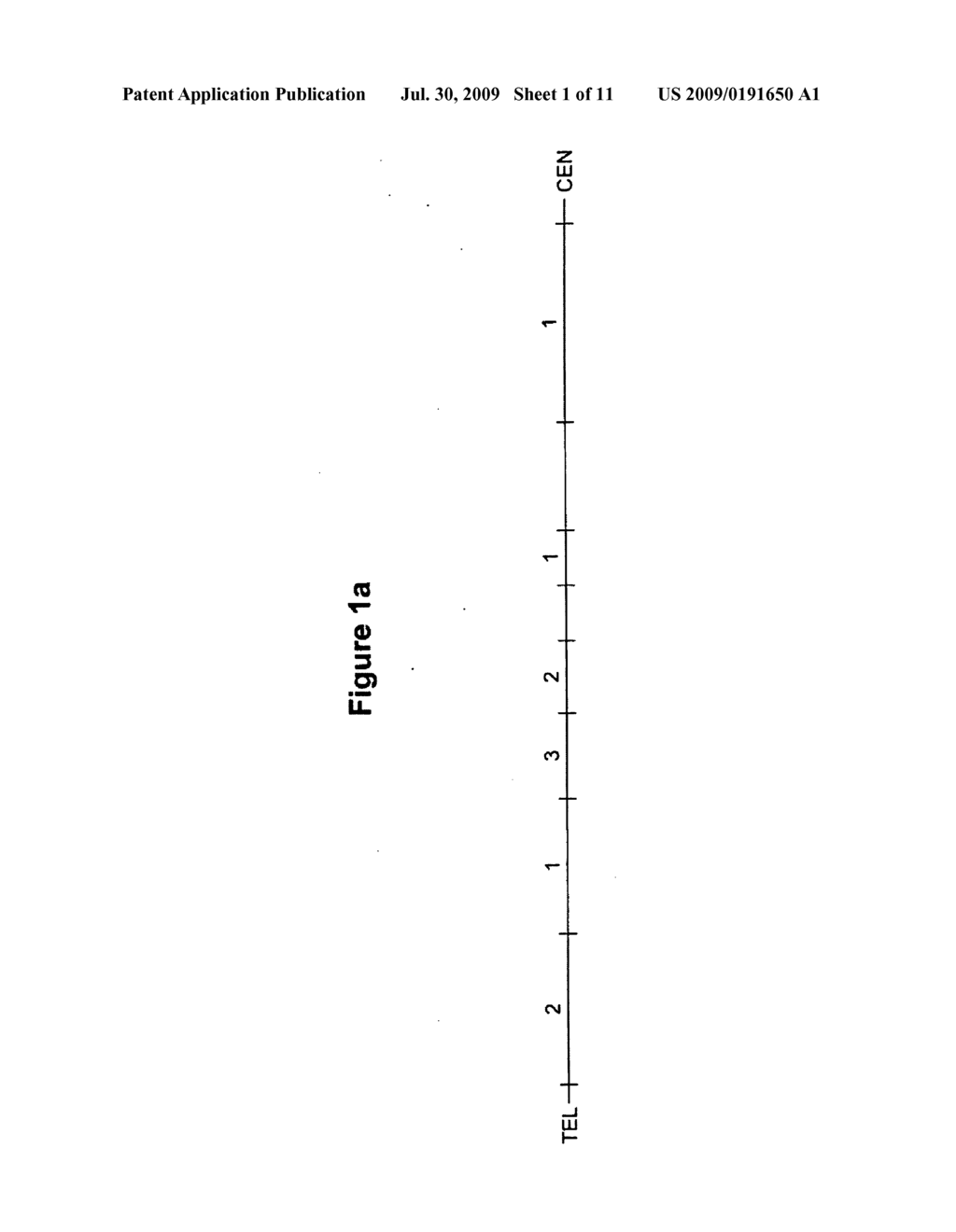 ANTIBODY SPECIFIC FOR MUTANT PRESENILIN 1 AND METHOD OF USE THEREOF - diagram, schematic, and image 02