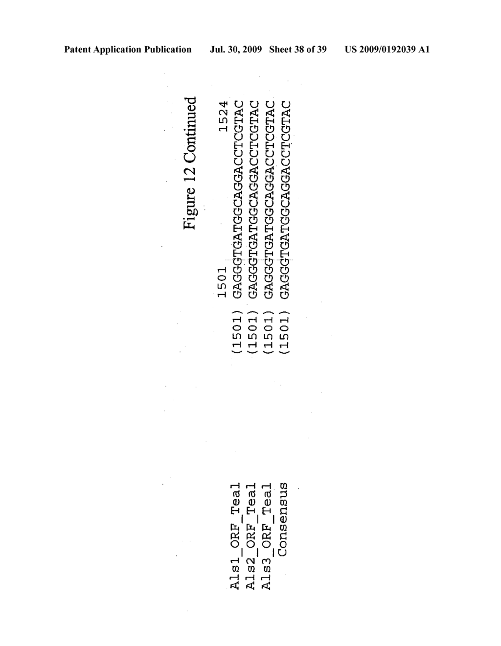 WHEAT PLANTS HAVING INCREASED RESISTANCE TO IMIDAZOLINONE HERBICIDES - diagram, schematic, and image 39