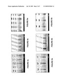 DENSE FLUID COMPOSITIONS FOR REMOVAL OF HARDENED PHOTORESIST, POST-ETCH RESIDUE AND/OR BOTTOM ANTI-REFLECTIVE COATING diagram and image