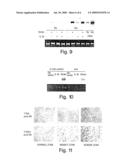 METHODS FOR DIAGNOSIS OF CARDIOVASCULAR DISEASE diagram and image