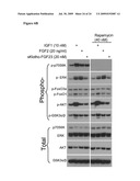 Methods and Compositions Using Klotho-FGF Fusion Polypeptides diagram and image