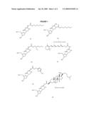 PRODRUGS OF HETEROARYL COMPOUNDS diagram and image