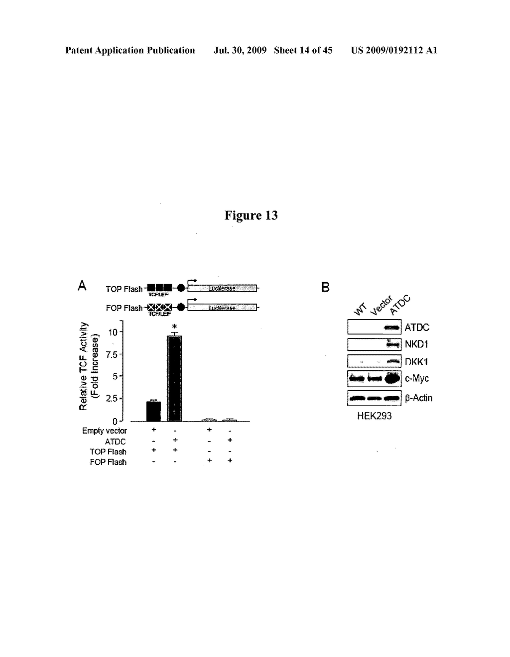 COMPOSITIONS AND METHODS FOR TREATING CANCER - diagram, schematic, and image 15