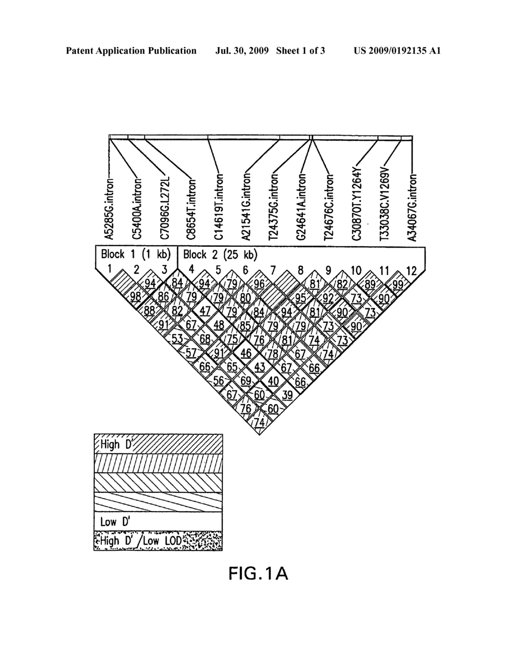 Human Niemann Pick C1-Like 1 Gene (NPC1L1) Polymorphisms and Methods of Use Thereof - diagram, schematic, and image 02