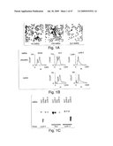 Methods and compositions for RNA Interference diagram and image