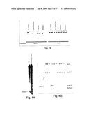 Methods and compositions for RNA Interference diagram and image